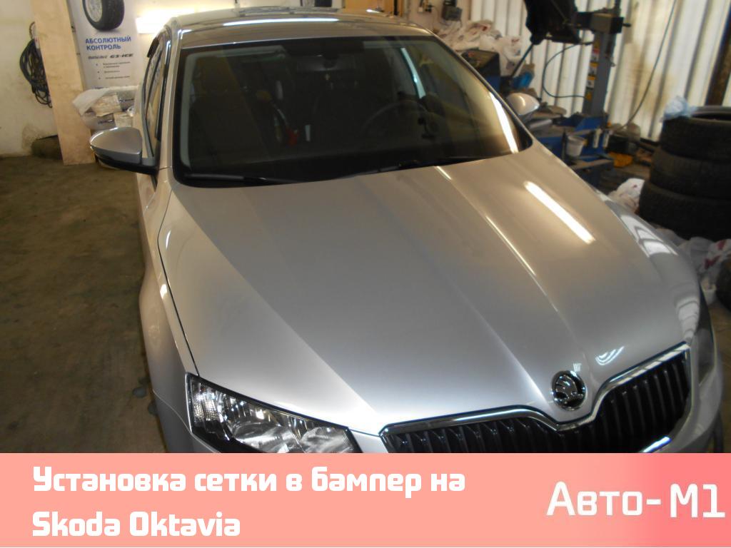 Установка сетки в бампер на Skoda Oktavia