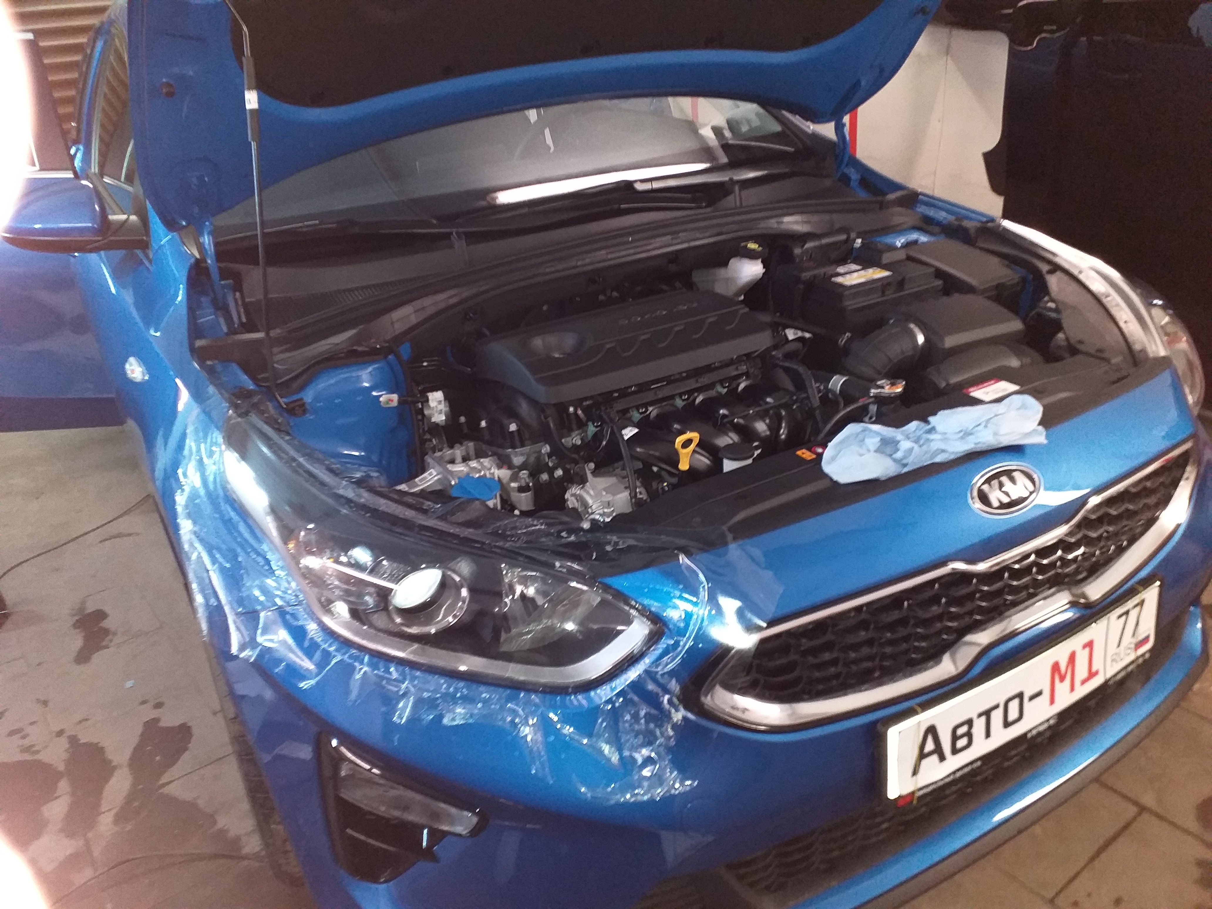 Антигравийная защита фар и капота на KIA Ceed