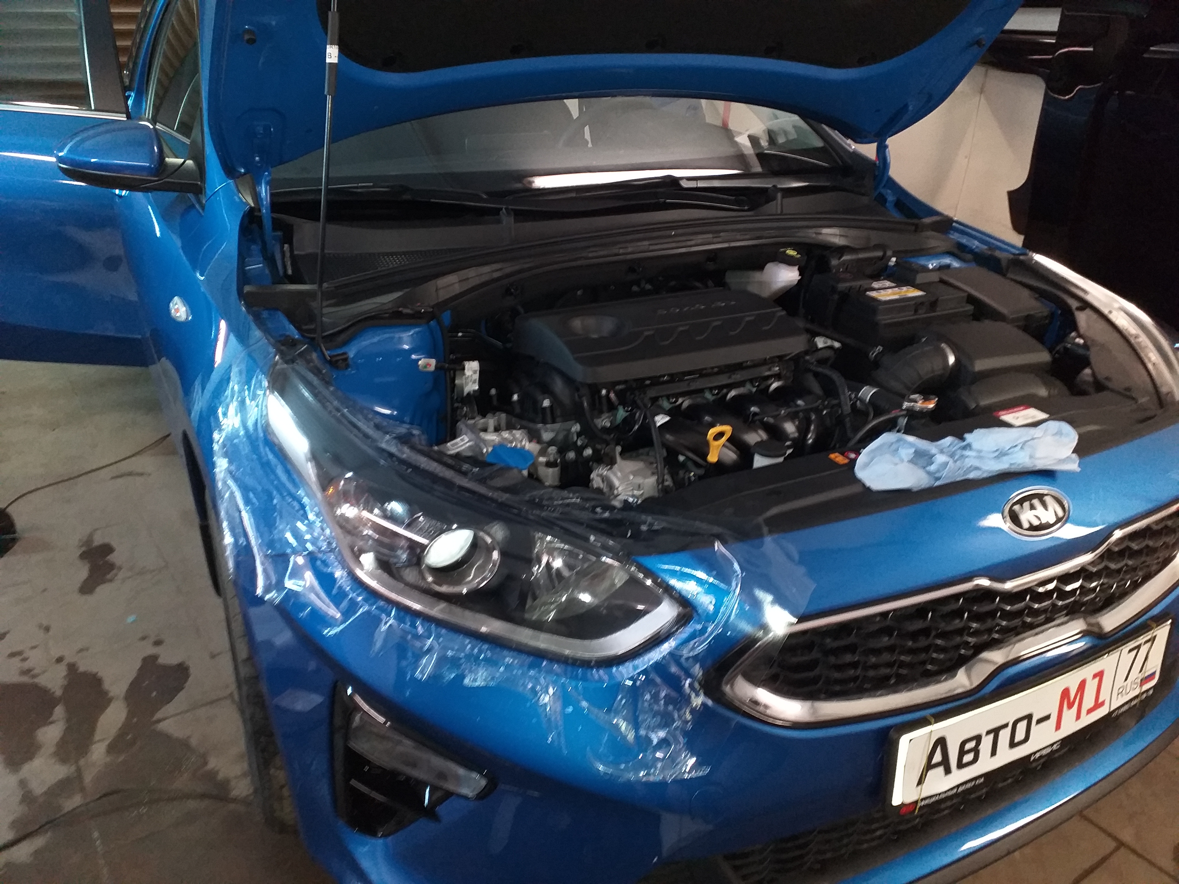Антигравийная защита фар и капота на KIA Ceed