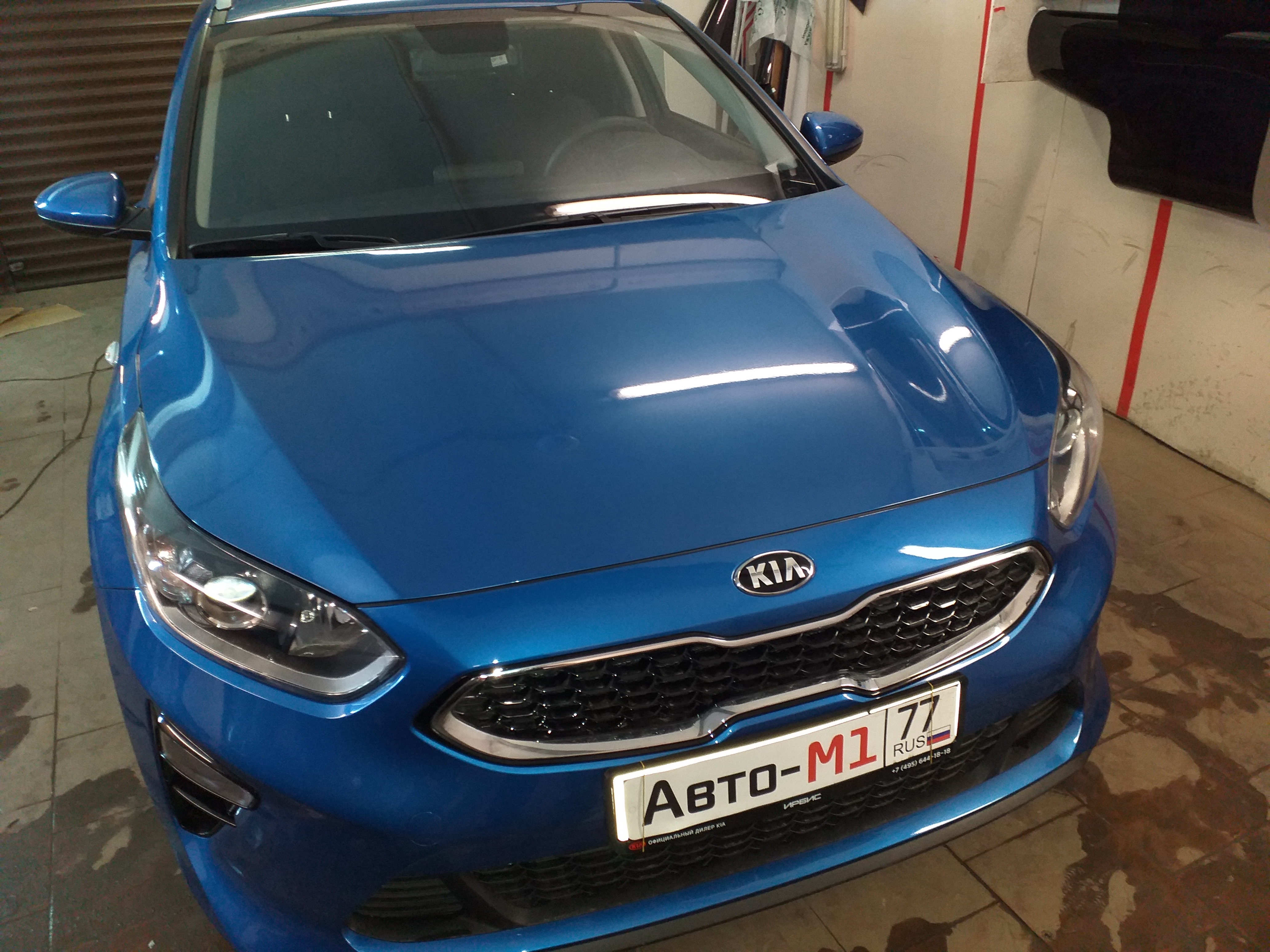 Антигравийная защита фар и капота на KIA Ceed